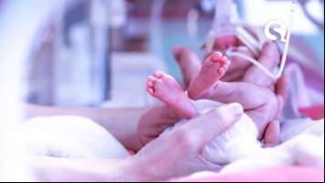 Mortalidade infantil volta a crescer no CE, com 1,3 mil óbitos de bebês por ano; entenda fatores