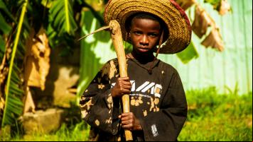 O trabalho infantil no Brasil - Uma história de violações de direitos humanos de crianças e adolescentes