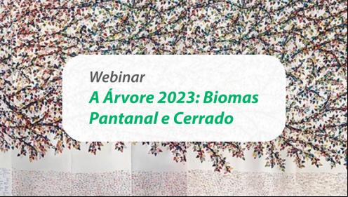 Educação em pauta no próximo webinar da Fundação Abrinq